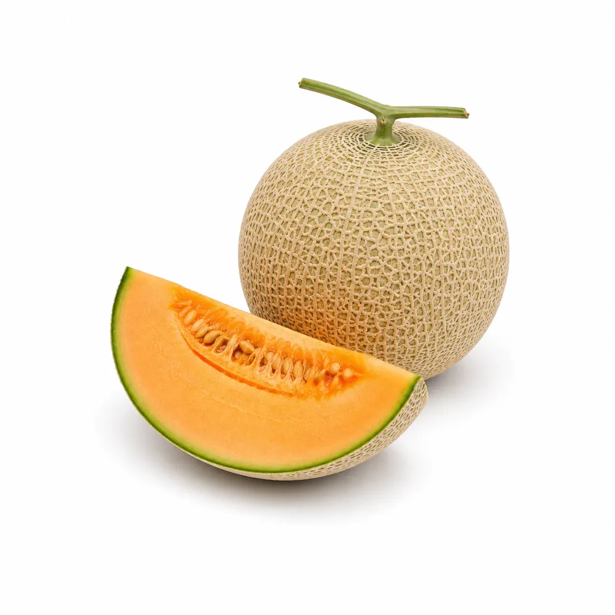 Cantaloupe