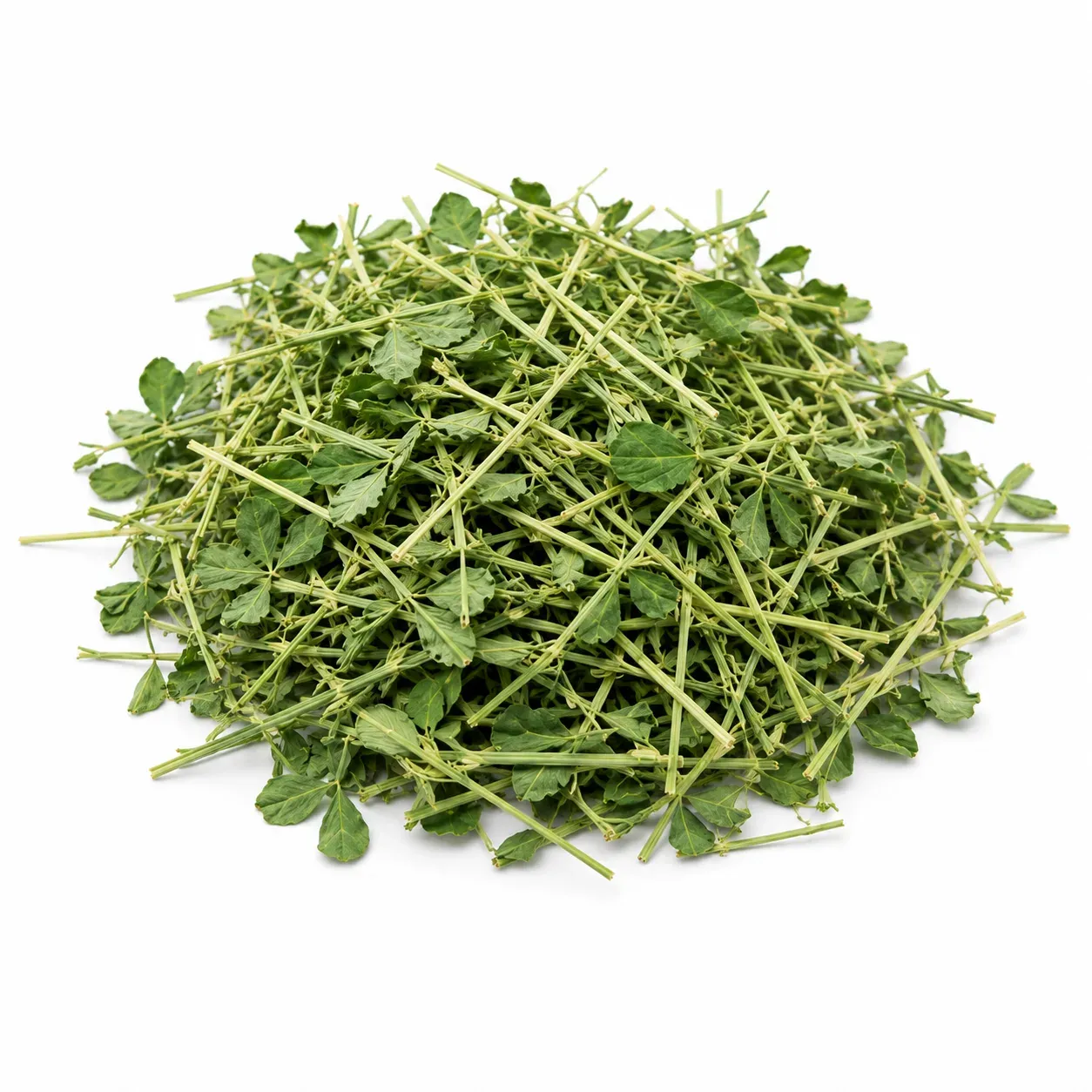 Alfalfa