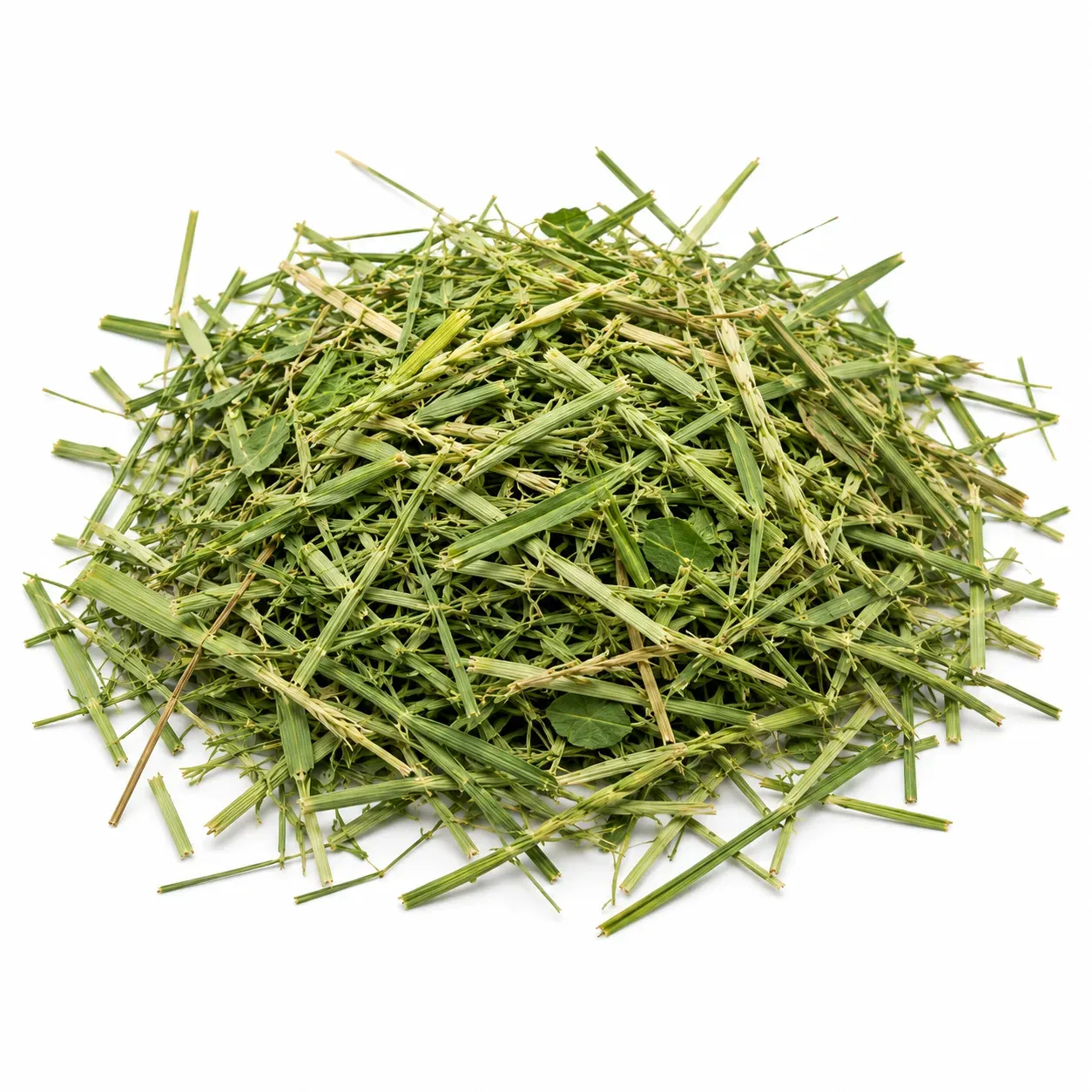 Bermuda Hay