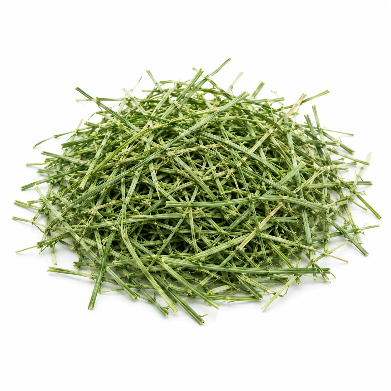 Orchard Grass