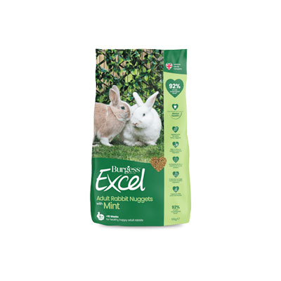 Burgess Excel
