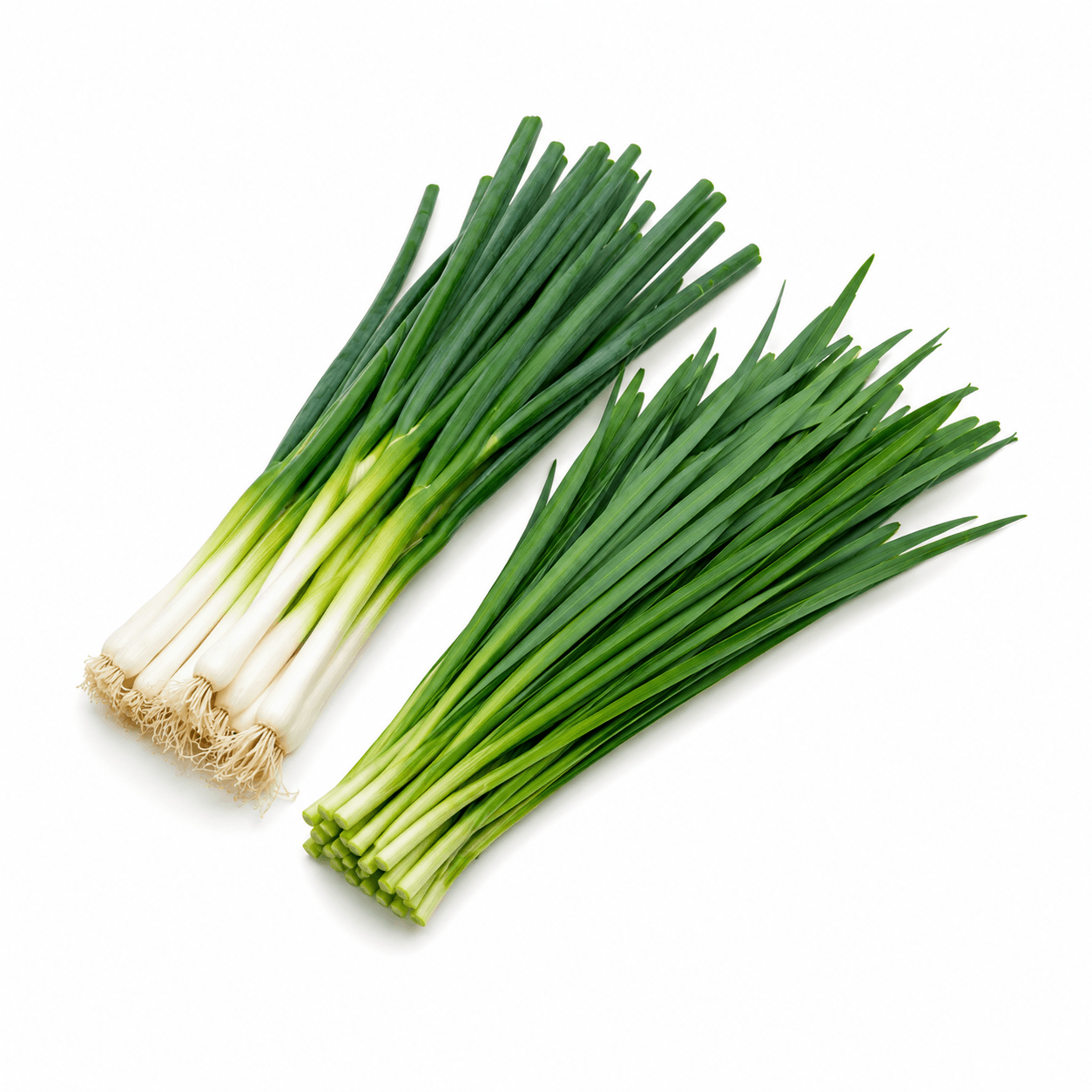 Leeks/Scallions