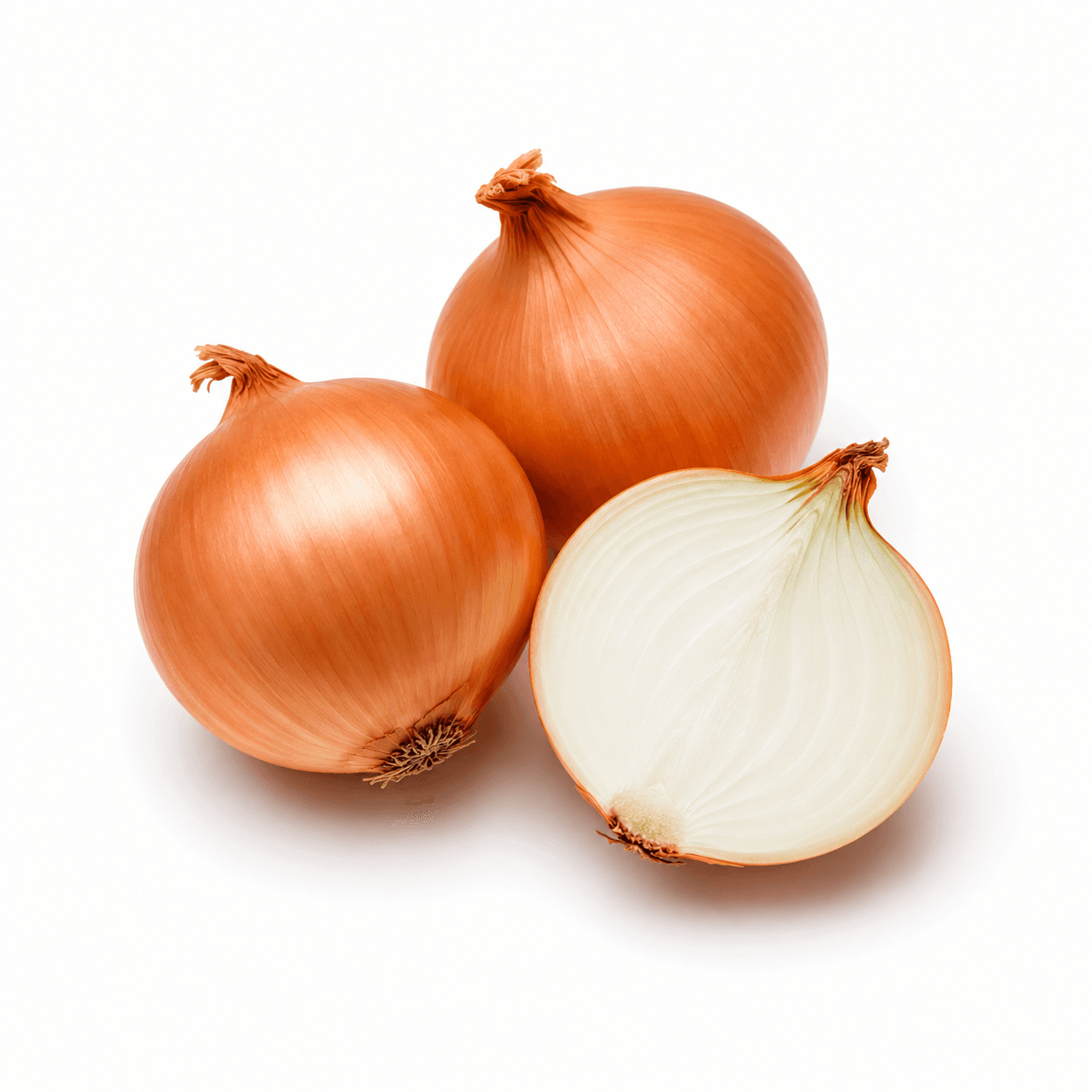 Onion