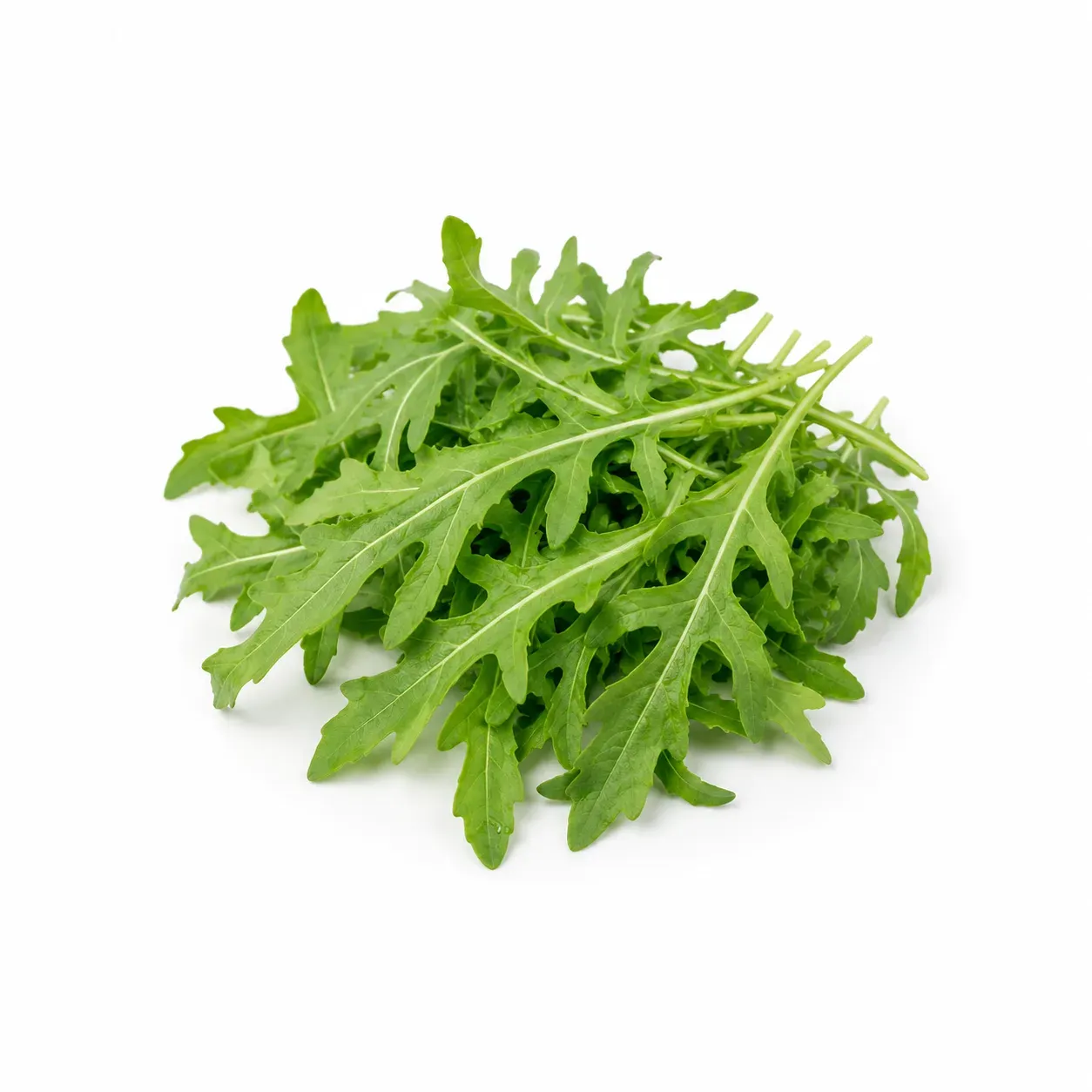 Arugula