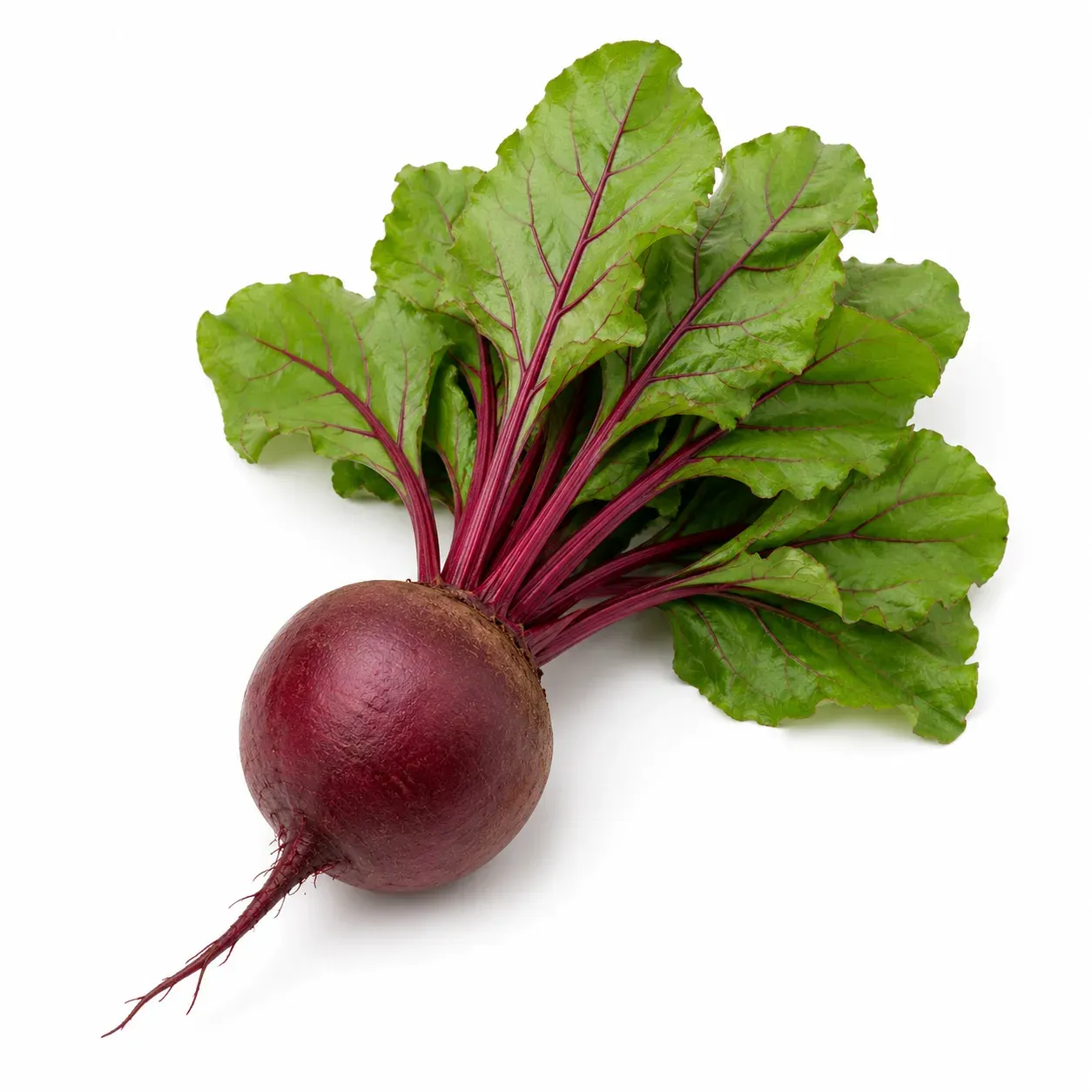 Beets tops/greens (Beta vulgaris)
