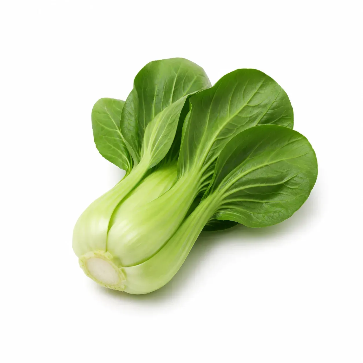 Bok Choy