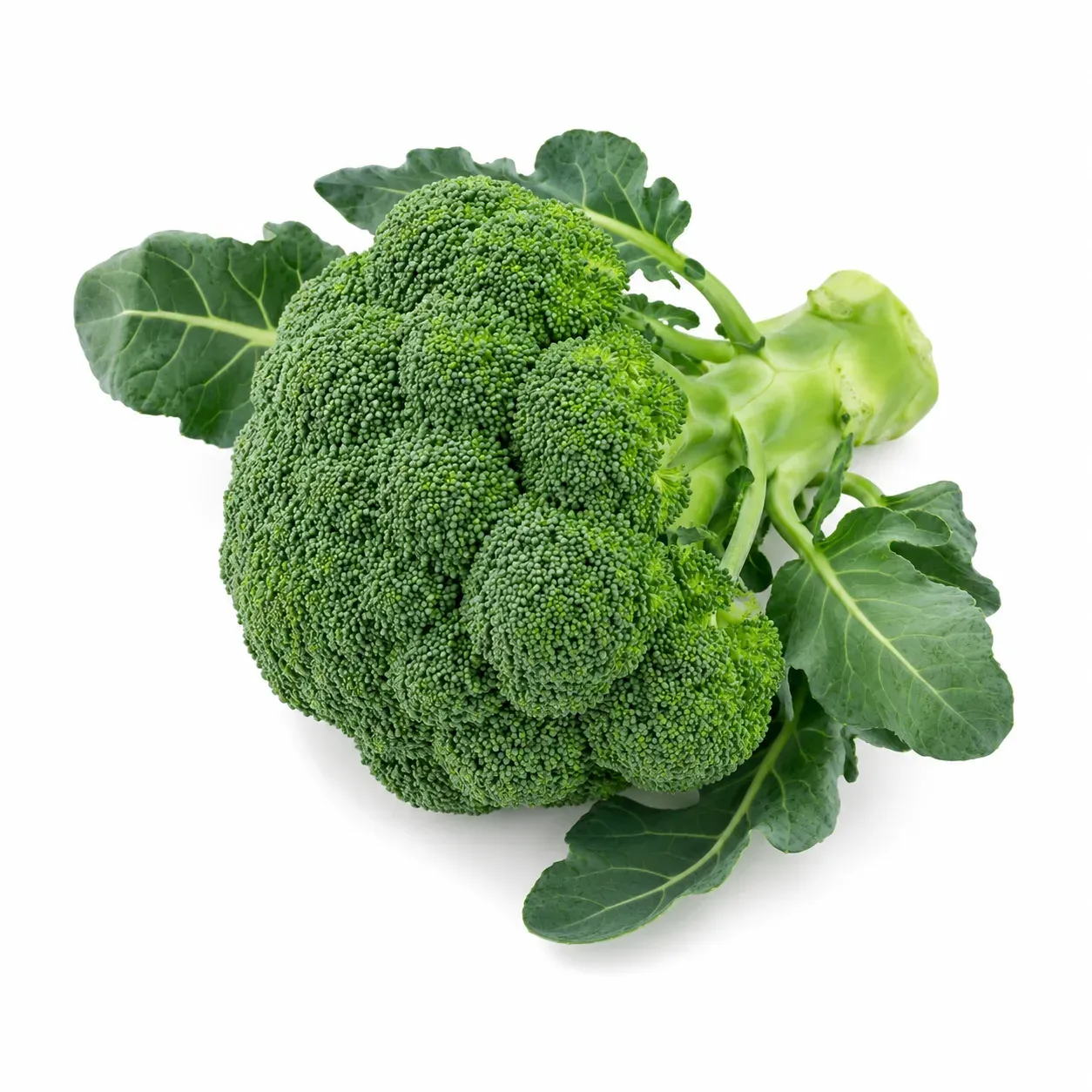 Broccoli