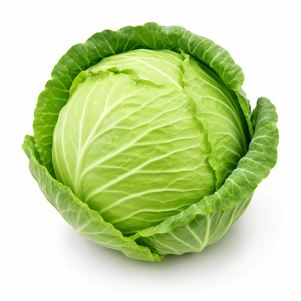 Cabbage