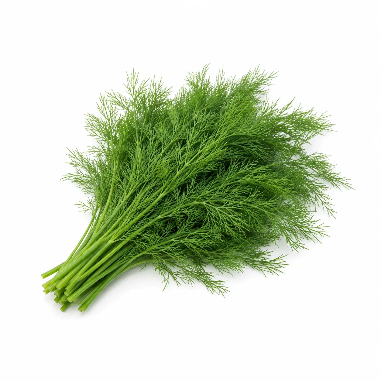 Dill