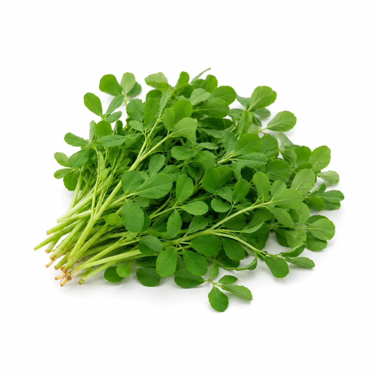 Fenugreek leaves