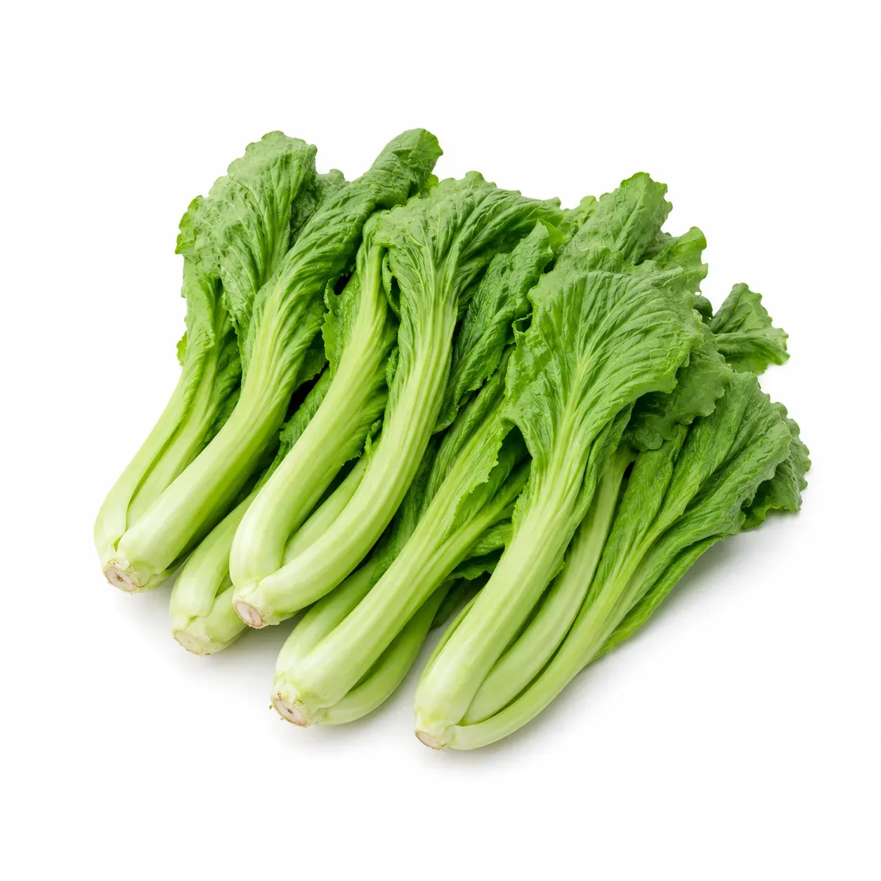Gai choy / Gai choi / Mustard greens / Kai choi