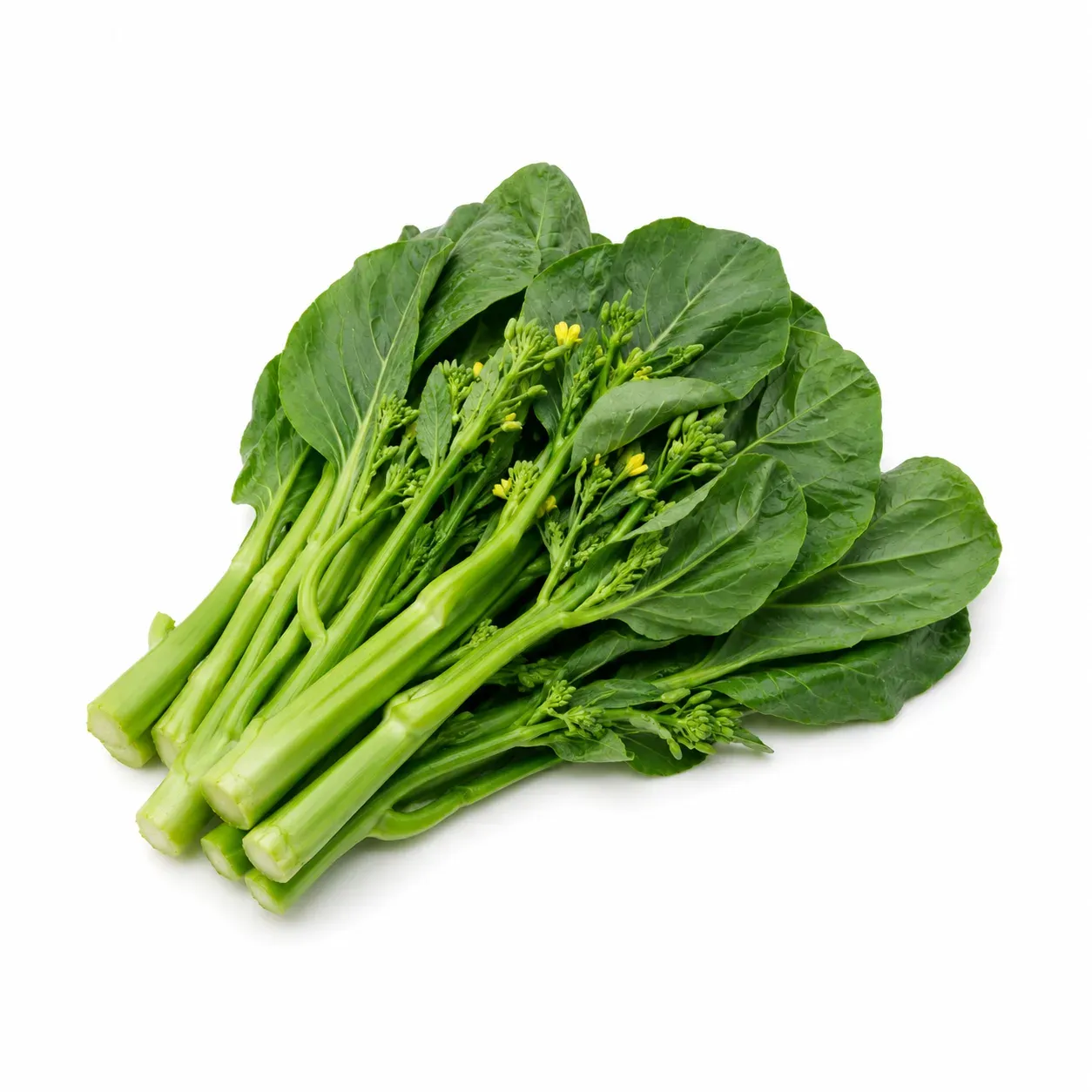 Kai lan / Gai lan (Brassica oleracea var. alboglabra)