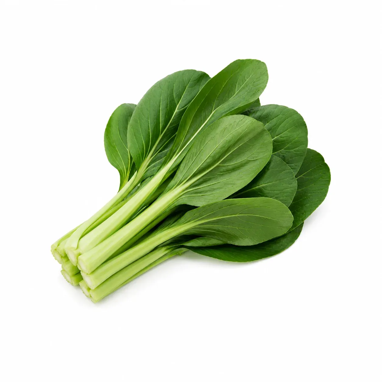 Komatsuna / Mustard spinach
