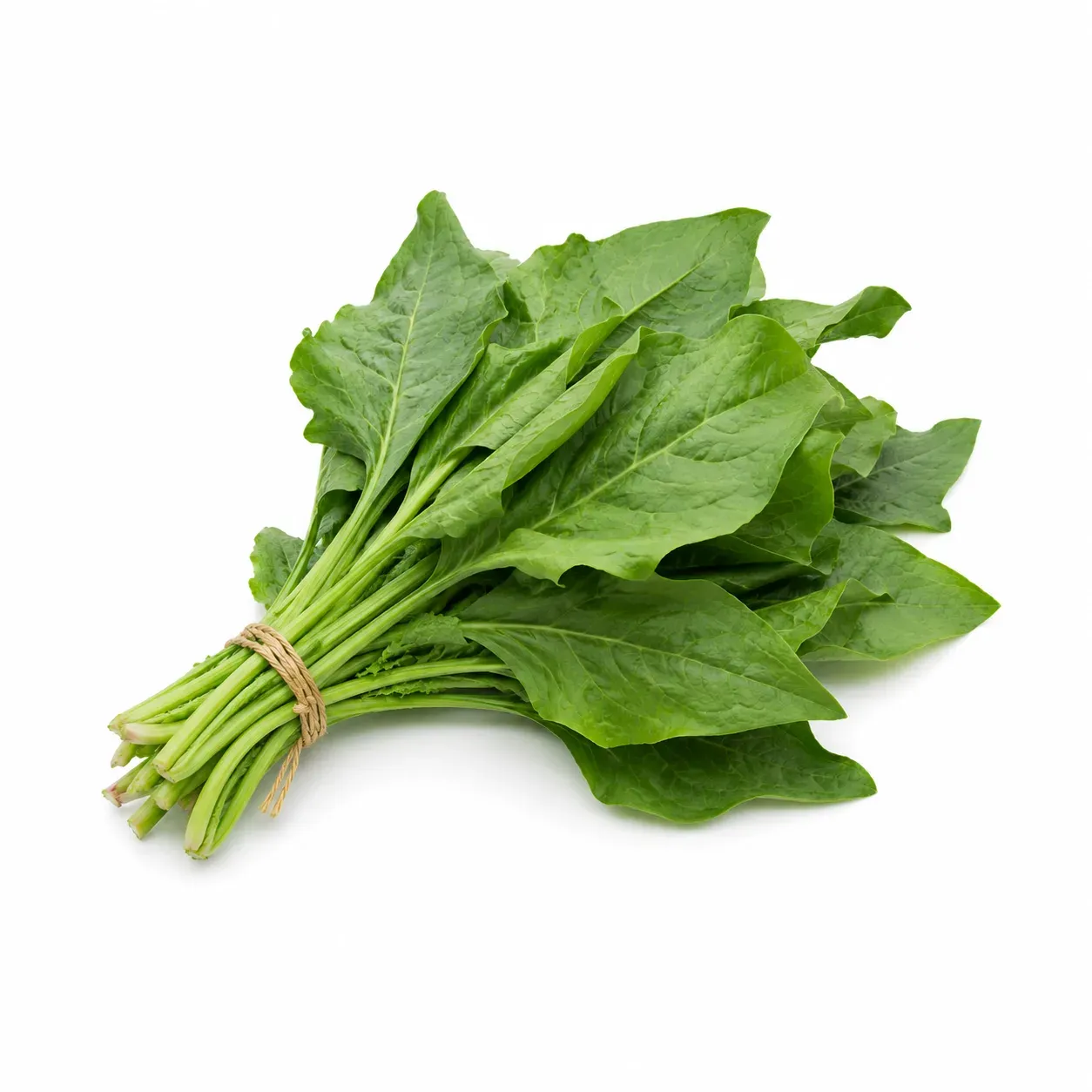 Lamb's quarters / White goosefoot