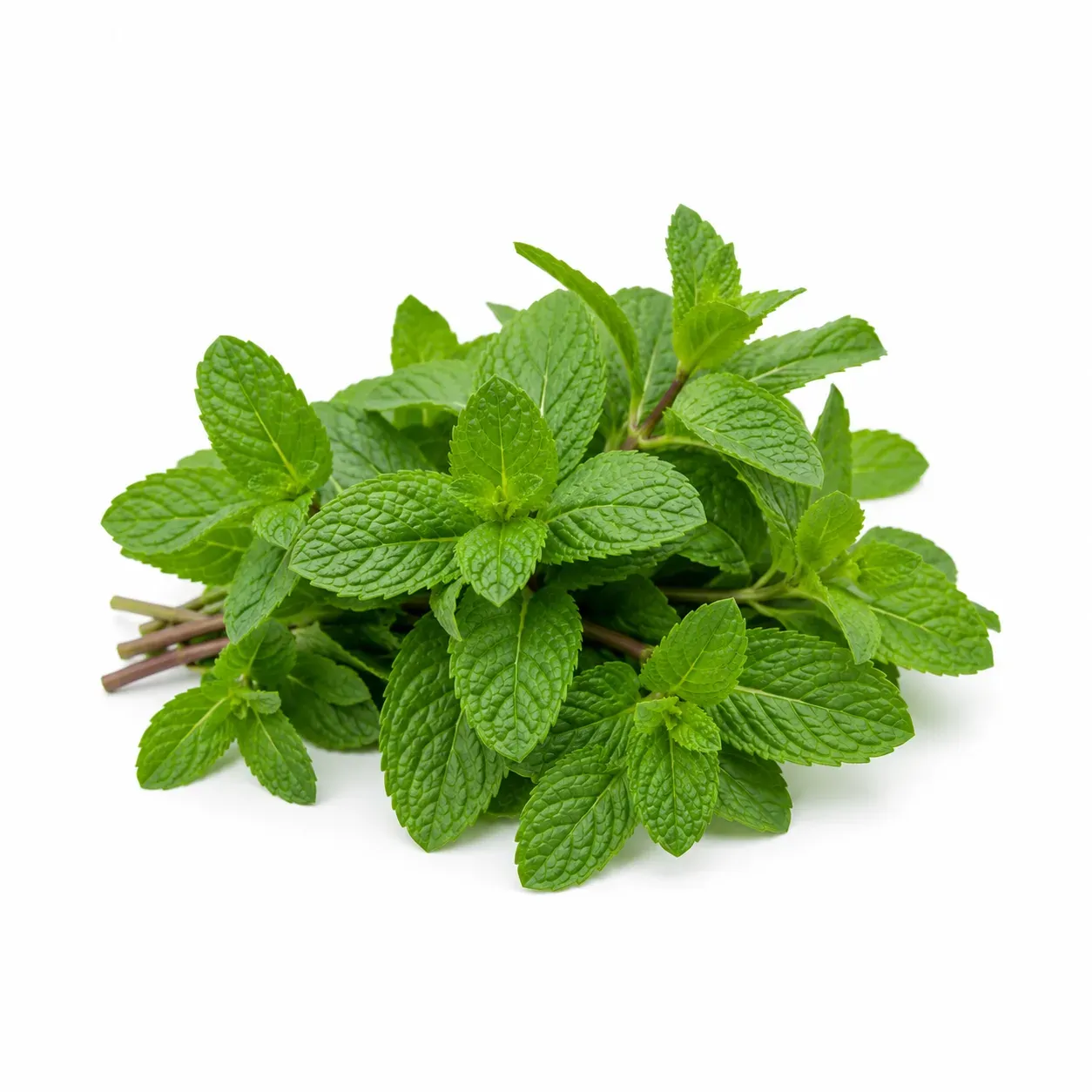Mint