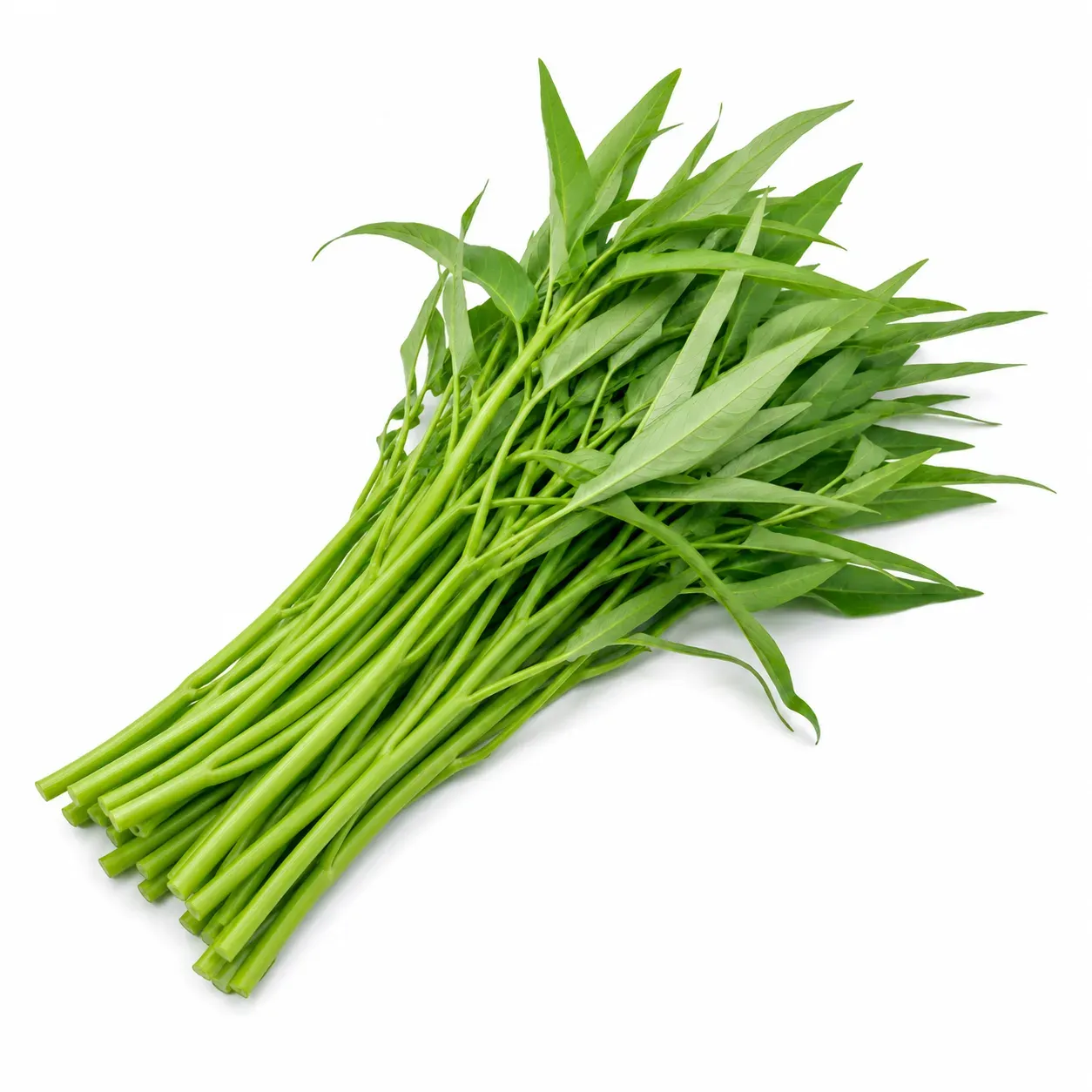 On choy / Water spinach / Kangkong / Kangkung / River spinach / Water morning glory / Water convolvulus