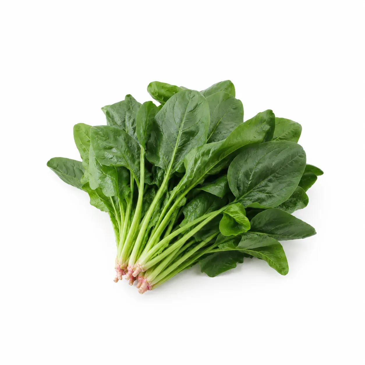 Spinach (Spinacia oleracea)